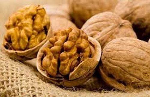 Image of In Shell Walnuts (4 Lbs.) - Large Natural California Walnuts - Great Source of Omega 3 - Fresh New Crop - Bursting with Flavor - Farm Fresh Nuts Brand