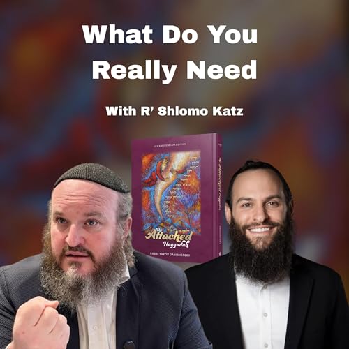 What Do You Really Need - With R' Shlomo Katz