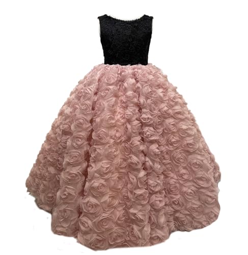 [VOKLLIYU] LbYhX sAm \ q hX ̓Iȉԏ qǂtH[} hX vZX s[X oCI i GKg WjA hX  t  a (sN 120)