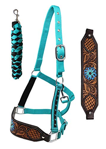 CHALLENGER Horse Noseband Tack Bronc Leather Halter Tiedown Lead Rope 280HR26