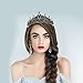 BESPORTBLE Tiara D' anniversaire pour Femmes Silver Queen Crown Tiara Crystal Tiara Grils Princess Crown Rhinestone Bandband Accessoires de Mariage Bridal Prom Prom Birthday Party Halloween