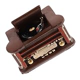 Platine vinyle miniature : usages multiples, décoration paysagère idéale, notamment pour les mini-maisons, accessoires pour maisons miniatures