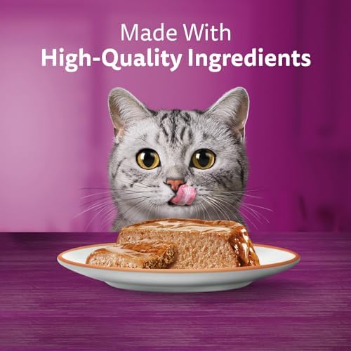 WHISKAS Salmon and Poultry Selections, Turkey, Chicken, and Savoury Salmon Dinner, Adult Wet Cat Food Paté in Natural Juices, 100g (24 Pack) - 3