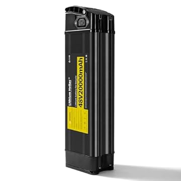 electric bike 2 batteries