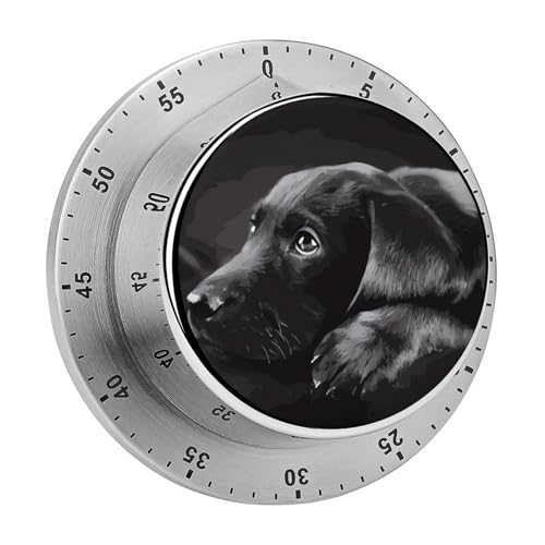 Mechanical Stainless Steel Timer Black Labrador Puppy Printed Kitchen Timer Heavy Duty Mechanical Timer Cooking Timers For Kitchen For Exercise, Bakin
