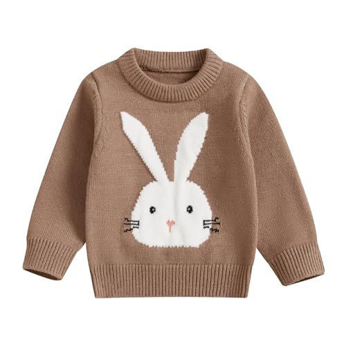 KMBANGI Newborn Toddler Baby Boy Girl Easter Sweater Bunny Carrot Knit Sweatshirt Long Sleeve Pullovers Top Spring Clothes