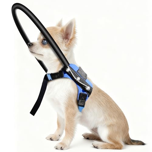 LetPetRun Blind Dog Halo Harness, Protective Collar and Guiding Device for Blind Dogs, Adjustable Confidence-Building Harness, Safe Navigation Aid for Pets (XXS)