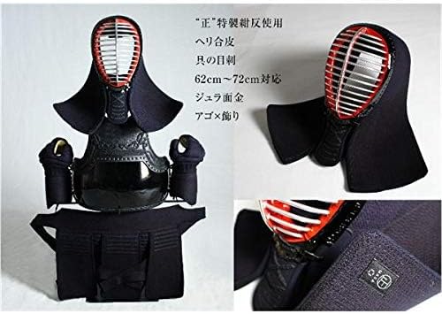 ヒステリーの発明 シャルコーとサルペトリエール写真図像集 上下巻