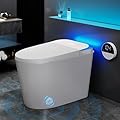 Smart Toilet with Heated Seat & Auto Open/Close Lid in ADA Height 17" | Dual Flush 1.0/1.27 GPF, 1000g MaP | Foam Shield, Foot Sensor, Night Light, Blackout Flush | One-Piece Tankless Toilet