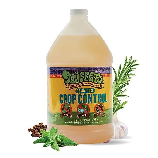 How to care for a palmetto palm tree Natural Insecticidal Soap Spray