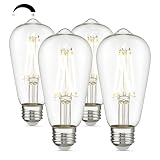 zeyu 4 Pack LED Light Bulbs 8W, E26 Dimmable LED Bulbs, Edison LED Bulbs 100 Watt Equivalent, High Brightness 950 LM Warm White 2700K, ST58-LED-9W