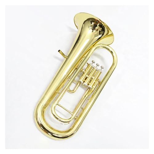 vtFbVi[tHjA ^J3sXg[tHjA^JS[hbJ[{fBou[tHjAP[Xt