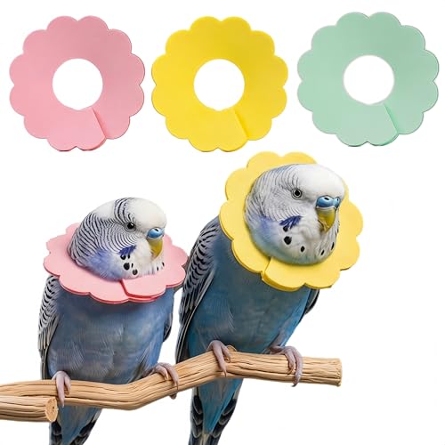 Magnoloran 3Pcs Anti-bite Bird Collar Anti-Grab Feather Plucking Wound Healing Elizabethan Collar Neck Protector Recovery Cones for Budgerigar Cockatiel Lovebirds Cockatoo Parrots-Green&Yellow&Pink,XL