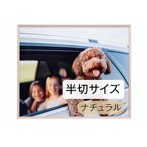 �P���R�[(Kenko) �z�� �A�~�l�I�E�O�����f ���� �i�`������ �ؖڒ��A���~�t���[�� UV�J�b�g�A�N���� ���{�� AAG-H-NA