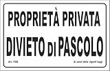 Social Crazy