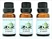 White Tea & Ginger 3 Bottles 1/2 FL Oz Each (15ml) Premium Grade Scented Fragrance Oil by Crazy Candles