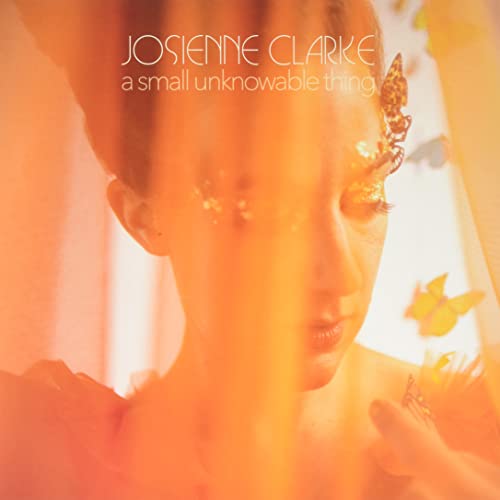 A Small Unknowable Thing [Vinyl]