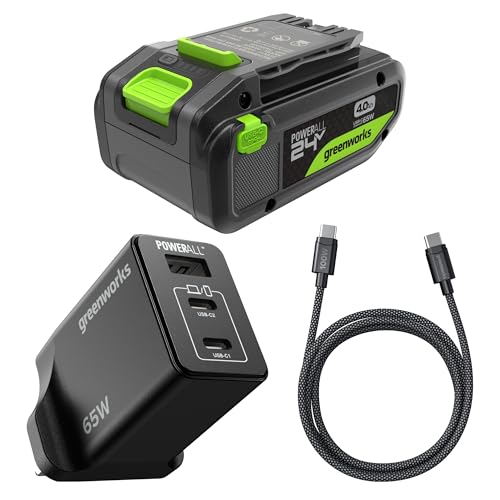 Batterie Greenworks 24V 4Ah Li-ion bloc d'alimentation universel chargeur USB-C