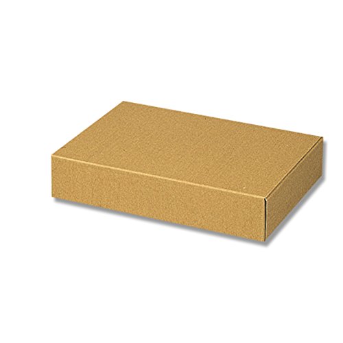 ヘイコー 箱 ダンボール ナチュラルボックス Z-8 25.8x37.3x7.7cm 10枚