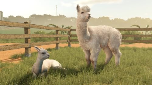 Farming Simulator 25 : Beans & Alpacas Edition Jeu PS5 - vue 9