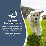 ZIWI Peak Steam & Dried Canine Meals – Grass-fed Lamb with Inexperienced Greens Recipe – Excessive Protein, Digestive Well being, Low Carb, for All Breeds and Lifestages (3.3lb)