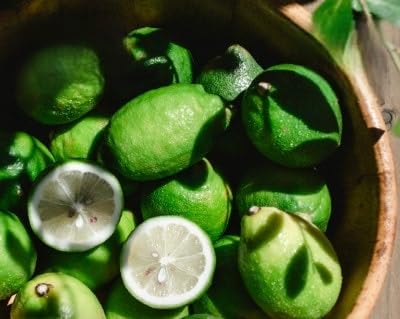 (皮ごと食べられる)瀬戸内グリーンレモン 2kg 防腐剤・ワックス不使用(A70-68)