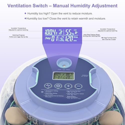 Egg Incubator for Hatching Chicks, Automatic Egg Turner Holds 18 Eggs, Smart Incubator 360° Clear Window with Temperature and Humidity Display Egg Candler for Small Poultry Ducks Quails Eggs - Image 5
