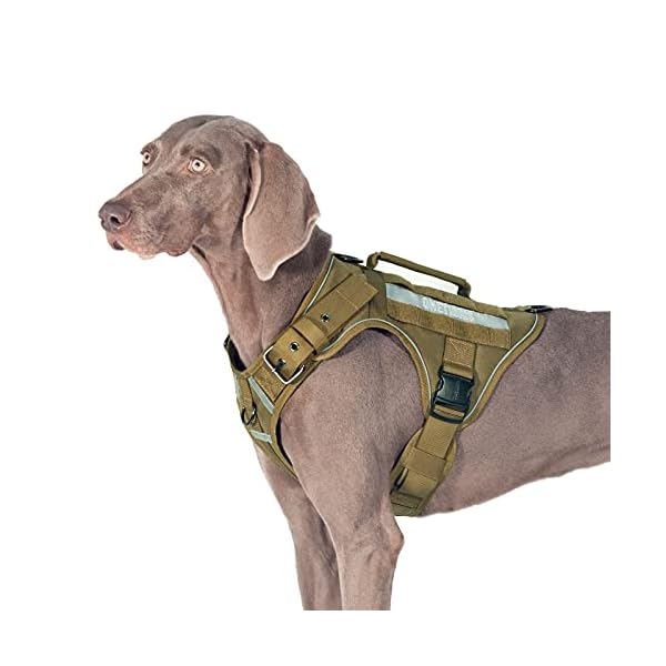 OneTigris Tactical Dog Harness No Pulling Adjustable Pet Harness Reflective Working Training Pet Vest Military Service Dog Harness Easy Control for Medium Large Dogs(Coyote Brown,M) OneTigris Tactical Dog Harness No Pulling Adjustable Pet Harness Reflective Working Training Pet Vest Military Service Dog Harness Easy Control for Medium Large Dogs(Coyote Brown,M)