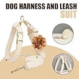 Set aus Geschirr und Leine aus Spitze für mittelgroße Hunde mit Metallverschluss, verstellbar, handgefertigt, aus Baumwolle, Bestickt, zugfest, für Hochzeit, Geburtstag (Weiß, Größe