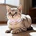 EXPAWLORER Bunny Ear Cat Collar with Bell, Soft Breakaway Kitten Collar with Bow and Accessory, Pink Girl Cat Collars with Safety Quick Release Clasp, Pet Collar for Valentine's Day (Cherry)