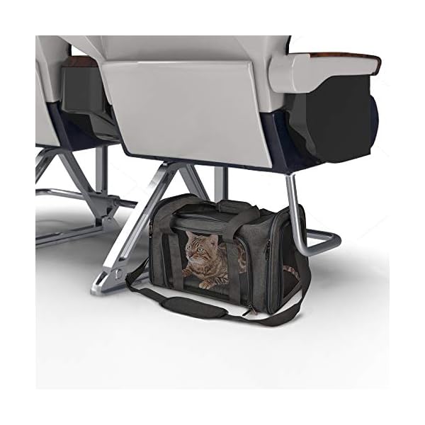 Collapsible Travel Puppy Carrier