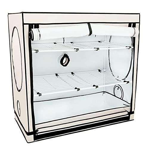 Preisvergleich Produktbild Grow box Homebox Vista Medium - 125 x 65 x 120 cm