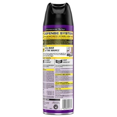 Raid Flea Killer Carpet and Room Spray, 16 Ounce (Pack of 1)