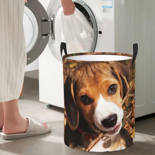 Panier à linge haut imprimé beagle pour rangement de couvertures - 8