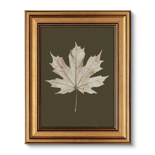 Image of VIYYIEA Vintage Gold Framed Wall Art for Living Room, Maple Leaf Canvas Prints Home Decor, Oil Painting Picture, Bedroom Wall Decor Gifts for Friends or Family -【Maple Leaf Specimen】-(10L x 8W)