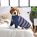 Hjumarayan Hundepullover Mittelgroße Hunde - Pullover Hund mit Geschirrloch, Warm Hunde Strickpullover Winter mit Beinen, Pit-Streifen Hundepulli für Border Collie, Frenchie, Blau XL