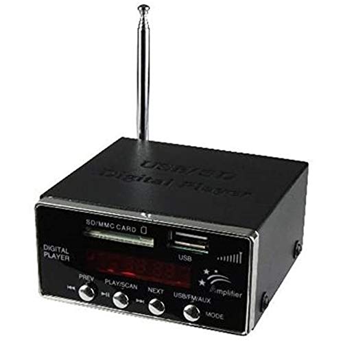 Compact MP3 Player with FM Tuner - Line Output Player - USB and SD Card