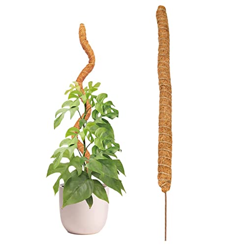 Bavokon 80 cm Moss per Piante Monstera e Piante rampicanti,Cocco Bastoncini per Piante, Totem in Fibra di Cocco,Bastone Muschiato Cocco per sostenere Piante da Appartamento per Crescere Verso l'Alto