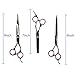 ColorPet Curved Scissor Set- Perfect For Pet Grooming, Durable Stainless Steel by ColorPet