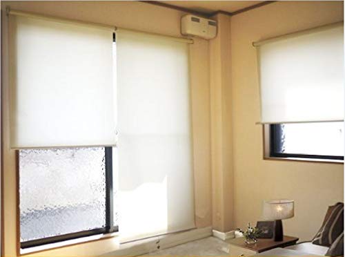 Amazon｜【Zen】 透過性生地 ロールスクリーン サイズ：幅60cm×高さ
