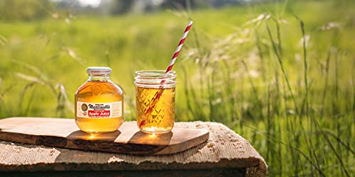 Martinellis Apple Juice Premium. 100% Pure Juice | 10 Fl Oz Pet Bottles | Pack Of 24 #TOP6
