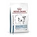 Produktbild Royal Canin Skin Care Small Dog Under 10kg 4 kg Adult