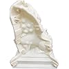 Concrete Statue Mold, Cement molds for Animals, Concrete Garden Statue Lion Mold for Garden Decoreation, EAIVENY Unique Concrete Plastic Mould (Lion)