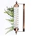 Outside Thermometer with Bronze Effect Design - Stylish 9.5 Inch Decorative Outdoor Thermometer Waterproof Suitable for Outside Wall Garden Greenhouse Patio Garage