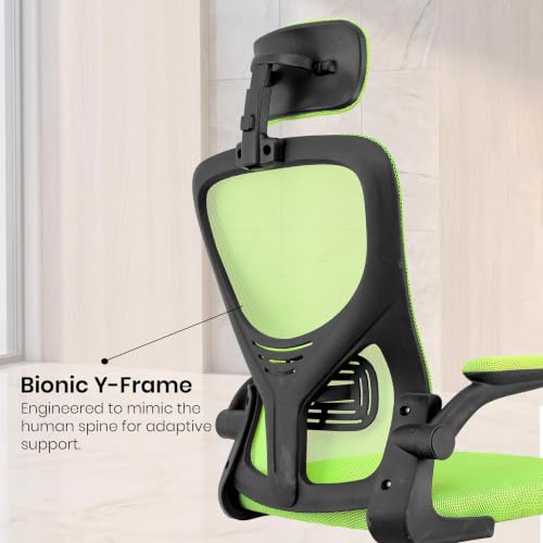 Image of Casa Copenhagen Green | High Back Imported Mesh Fabric Boss Office Chair | Y Design Ergonomic Back Support | 2D Aero Design Adjustable Armrests | Synchro Tilt Lock Mechanism