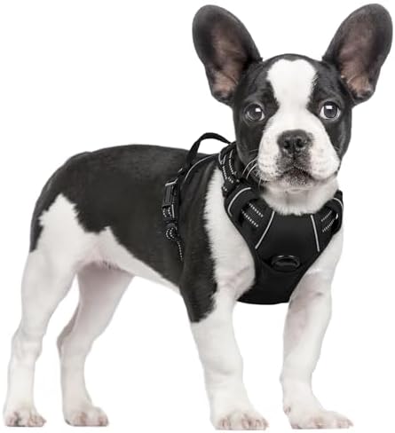 rabbitgoo Dog Harness No Pull with 2 Leash Clips, Adjustable Soft...