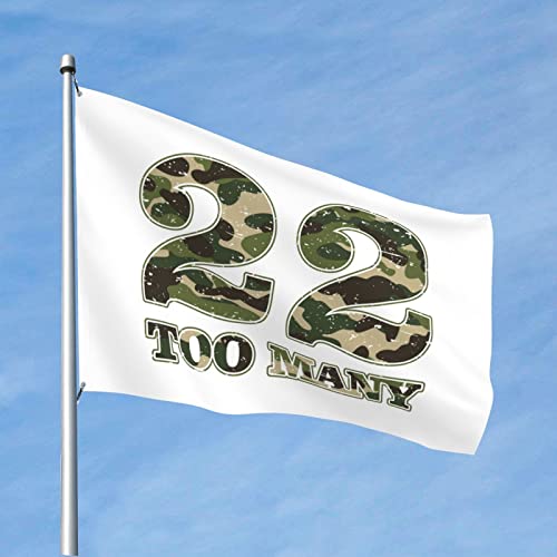 Drapeau PTSD 22 Too Many contre les murs vides de dortoir universitaire 152x244