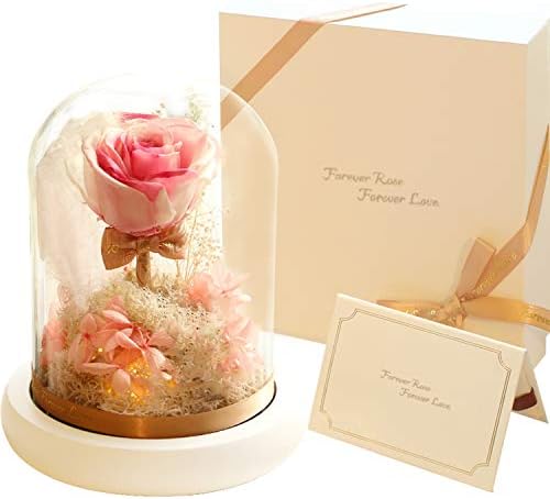 Preserved roses - new forever eternity preserve real rose with led in glass - with gift box, gift bag, gift card - beauty and the beast flower for anniversary valentines day mother's day birthday gift