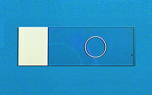 Hydrophobic Printed Slide 12 Well, Round, 5 mm, 72/PK