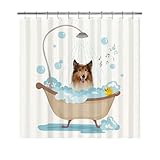 GABSHAIM Lovely Shower Curtain Funny Rough Collie Dog in A Bathtub Shower Curtains Cute Bath Curtain with Hooks Waterproof Bathroom Bathtub Decor for Pet Lover 72x72 Inch